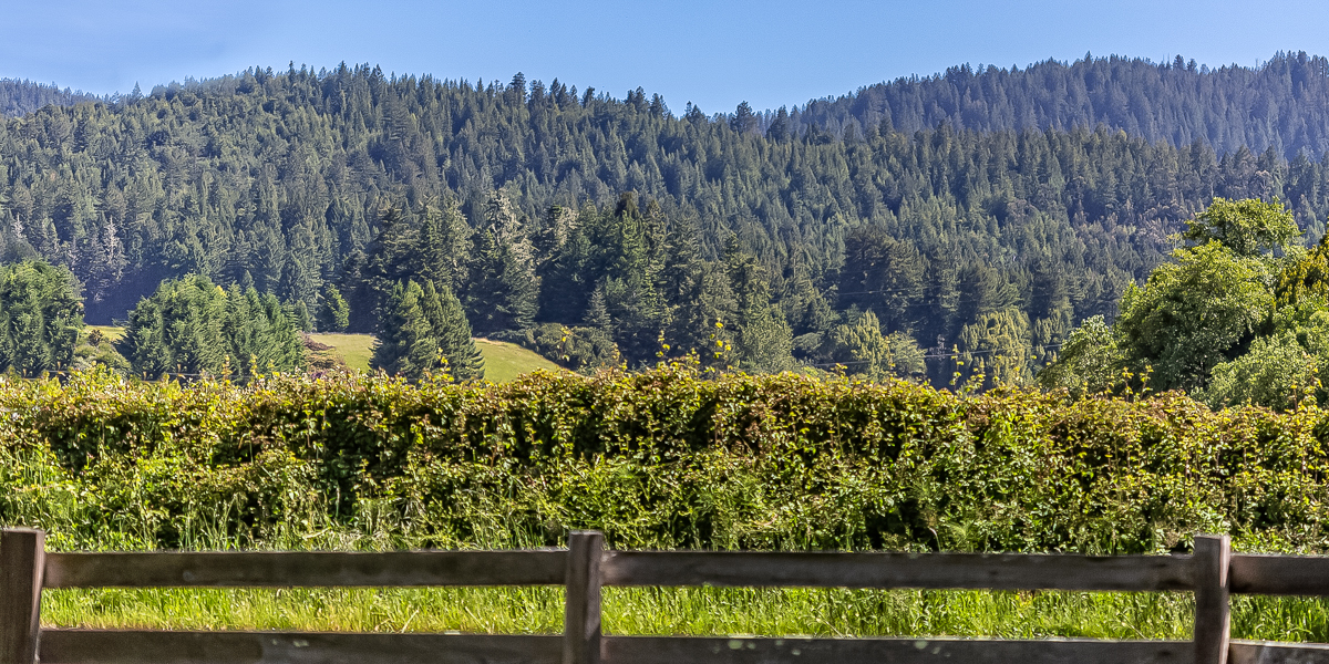 RV Sites & Mobile Homes